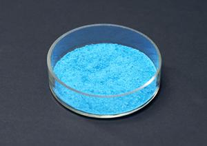 羽沢横浜国大周辺で信頼できる歯医者を見つけるための2025年最新ガイド